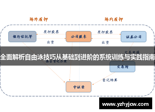 全面解析自由泳技巧从基础到进阶的系统训练与实践指南